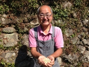 下北山スポーツ公園/大豆の苗植えから行う南朝味噌作り