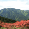 葛城