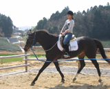 三栄乗馬クラブ