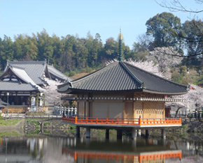 安倍文殊院／大和ぼけ封じ大祭