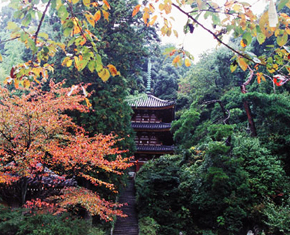 松尾寺／観月瞑想会