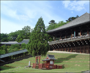 東大寺／十七夜盆踊り