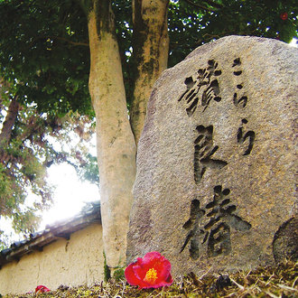 奈良市／薬師寺