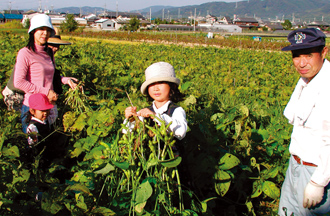華やぎ観光農園