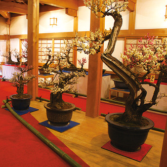 大和郡山市／郡山城跡