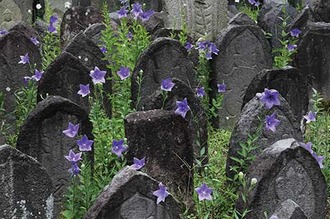 奈良市／元興寺