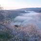 奈良市／月ヶ瀬渓谷