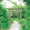 相撲神社