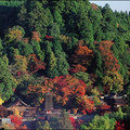 談山神社