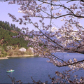 吉野川津風呂自然公園