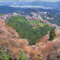 吉野山