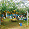 龍水園