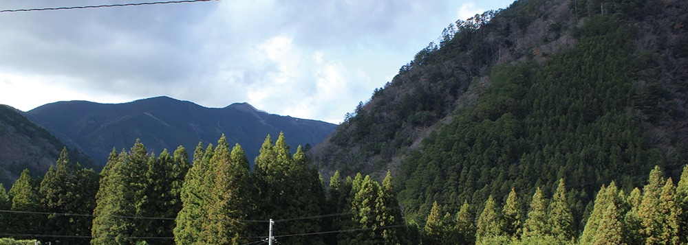 奈良っこ、信ちゃん、十津川、農家民宿。