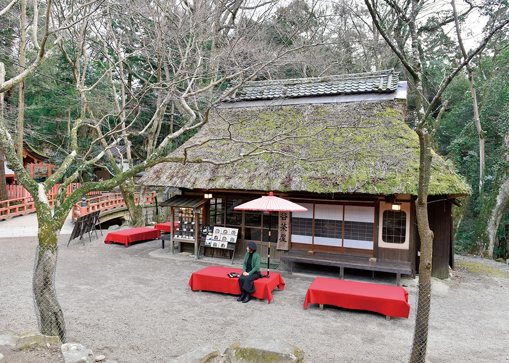 奈良っこ、水谷茶屋、奈良、抹茶。