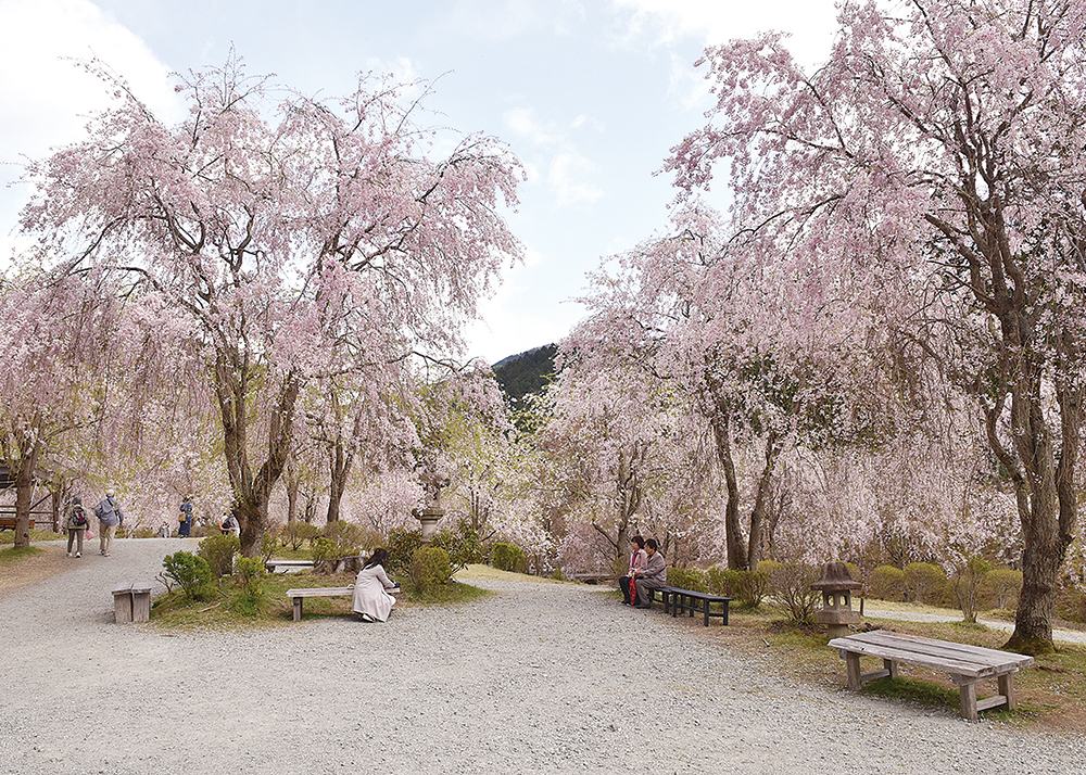 20.04takaminosato2