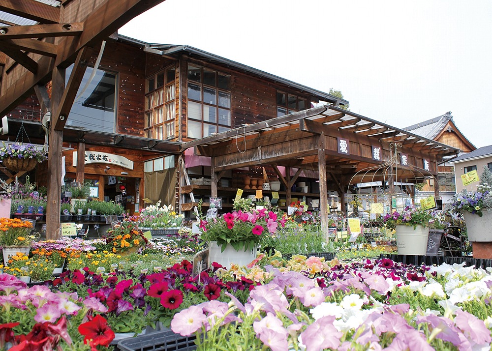 AISAIKAZOKU 愛栽家族 ならやま店。育てておいしい夏野菜！ 家族みんなで家庭菜園デビュー