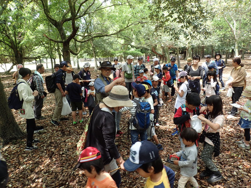 2019年、イベント、奈良県、奈良市、参加型イベント、体験、奈良公園、糞虫観察、5月。
