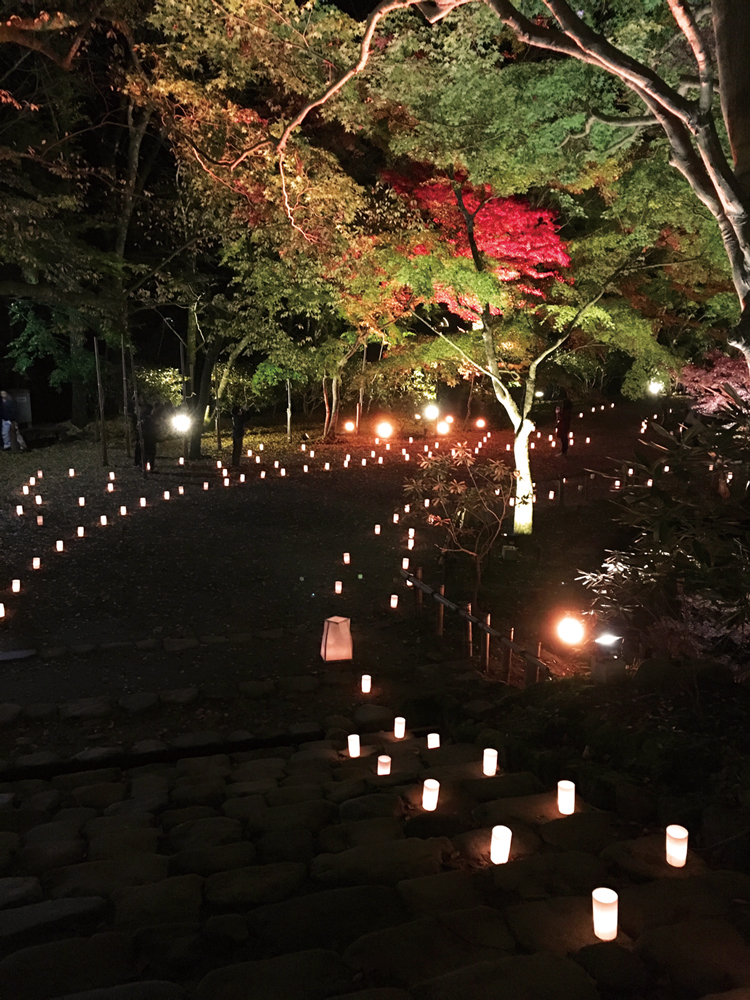 奈良っこ　室生寺