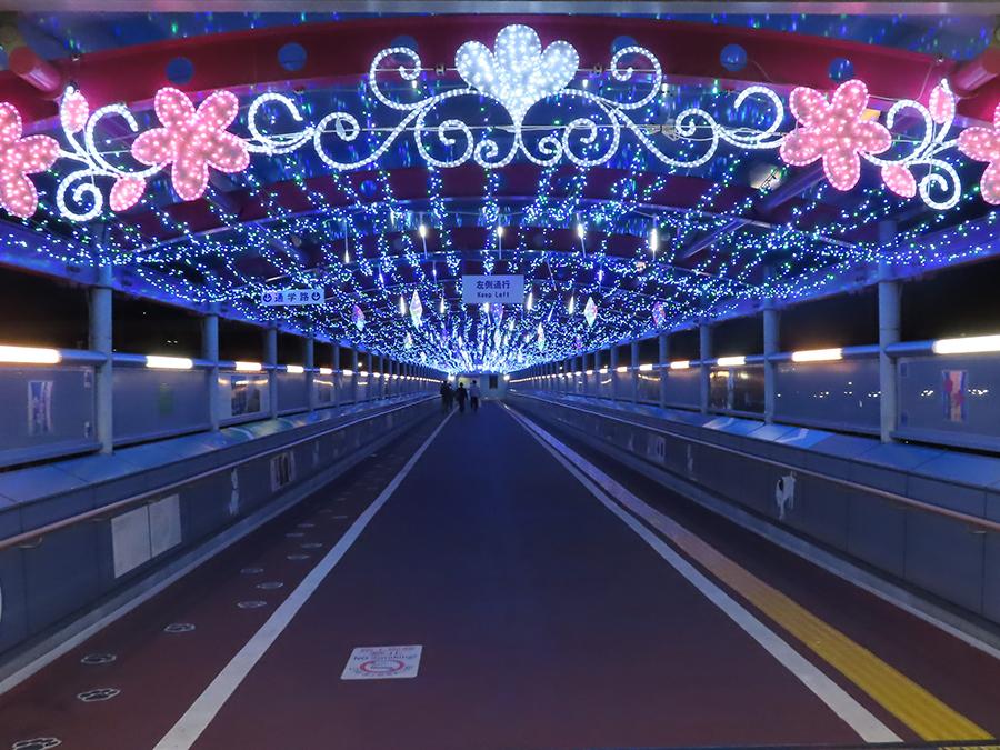 23-12oji-illumination