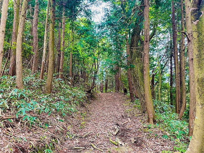 25-07satoyama-summer-04