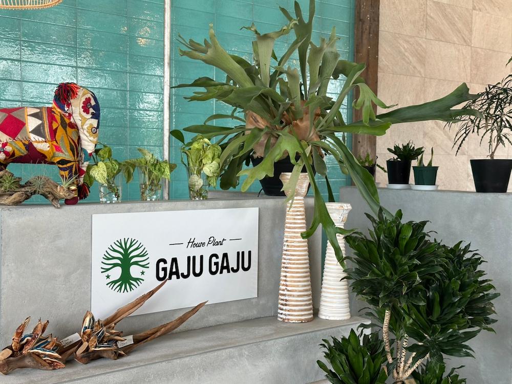 2507gajugaju10