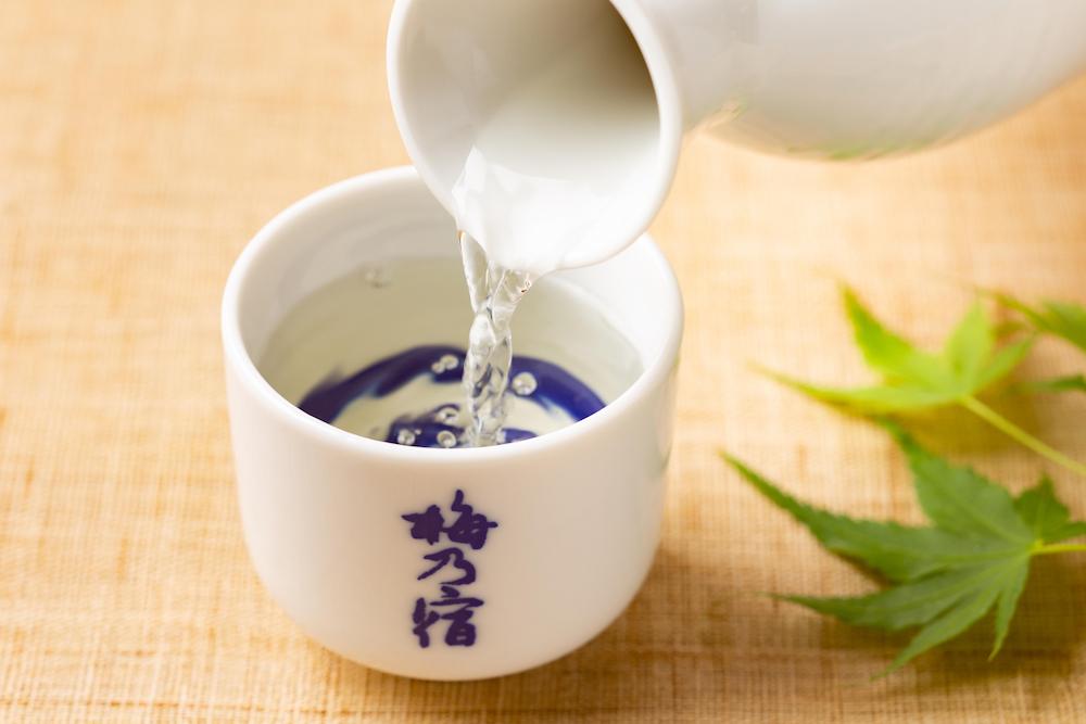 梅乃宿の日本酒を杯売りで提供! 蔵開き限定酒や会場だけの秘蔵酒もあります。