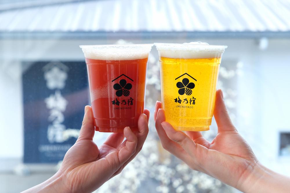 「あらごしビール」梅乃宿あらごしシリーズをビールで割った本格的なビアカクテル