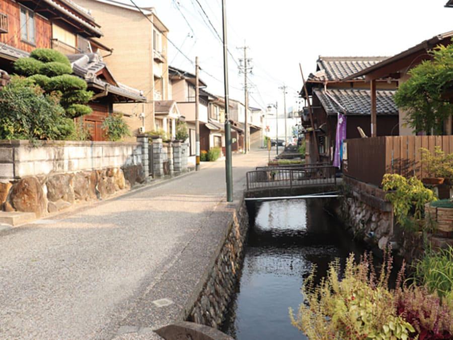 2511hiyawai-04