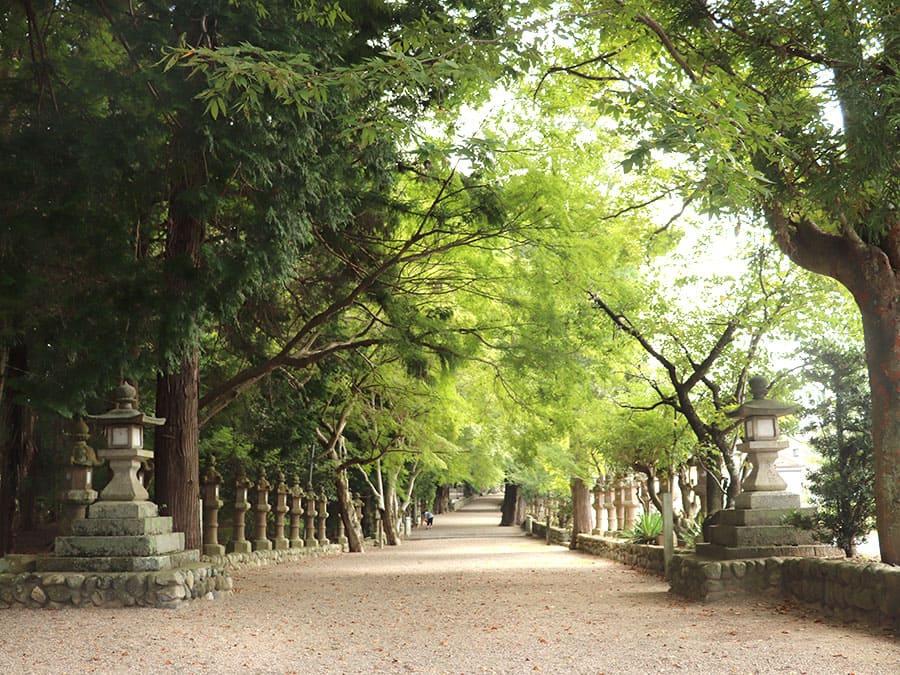 2511sekita-jinja-02
