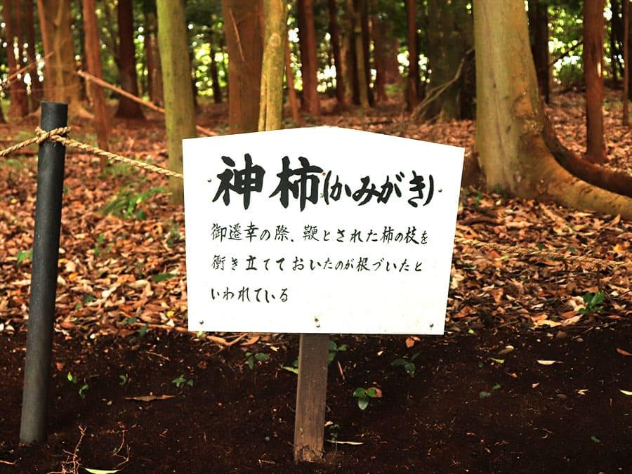 2511sekita-jinja-06
