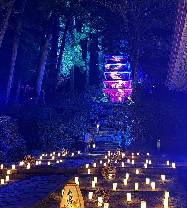 国宝五重塔《青龍》