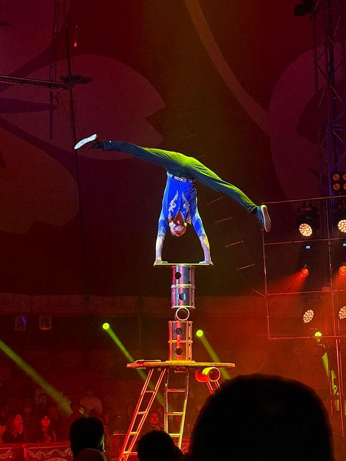 25-11sakuracircus-04