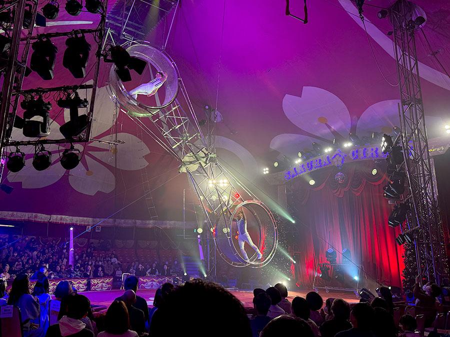 25-11sakuracircus-05
