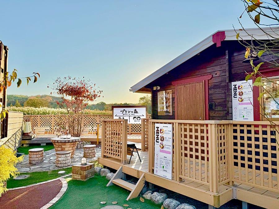 25-12daibutsu-purin-15