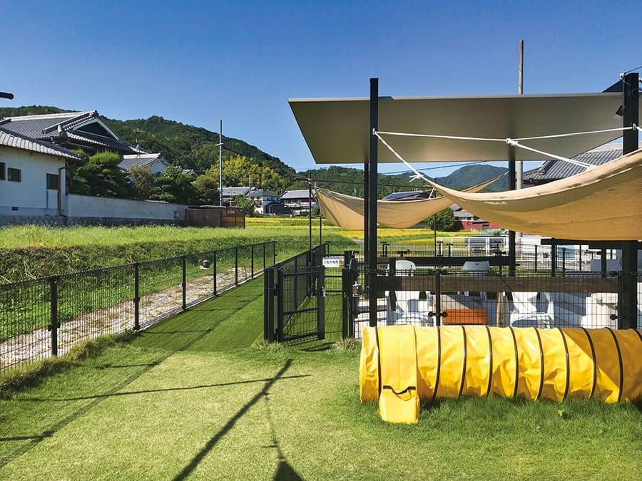 青い空の下 ドッグラン！