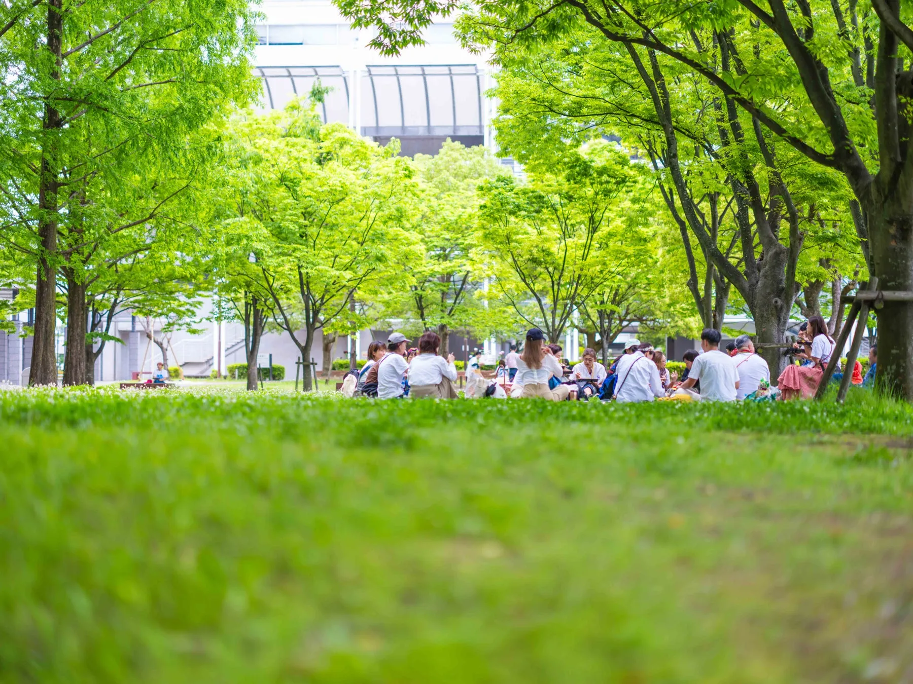 公園でピクニックを楽しむ人々の様子を捉えた写真。新緑の木々に囲まれ、芝生の上でリラックスした時間を過ごしている。背景には現代的な建物も見える。