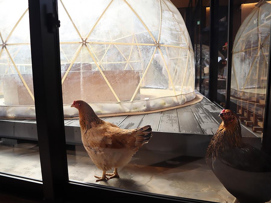 SETRE日帰りツアー 第3回StoryTrip