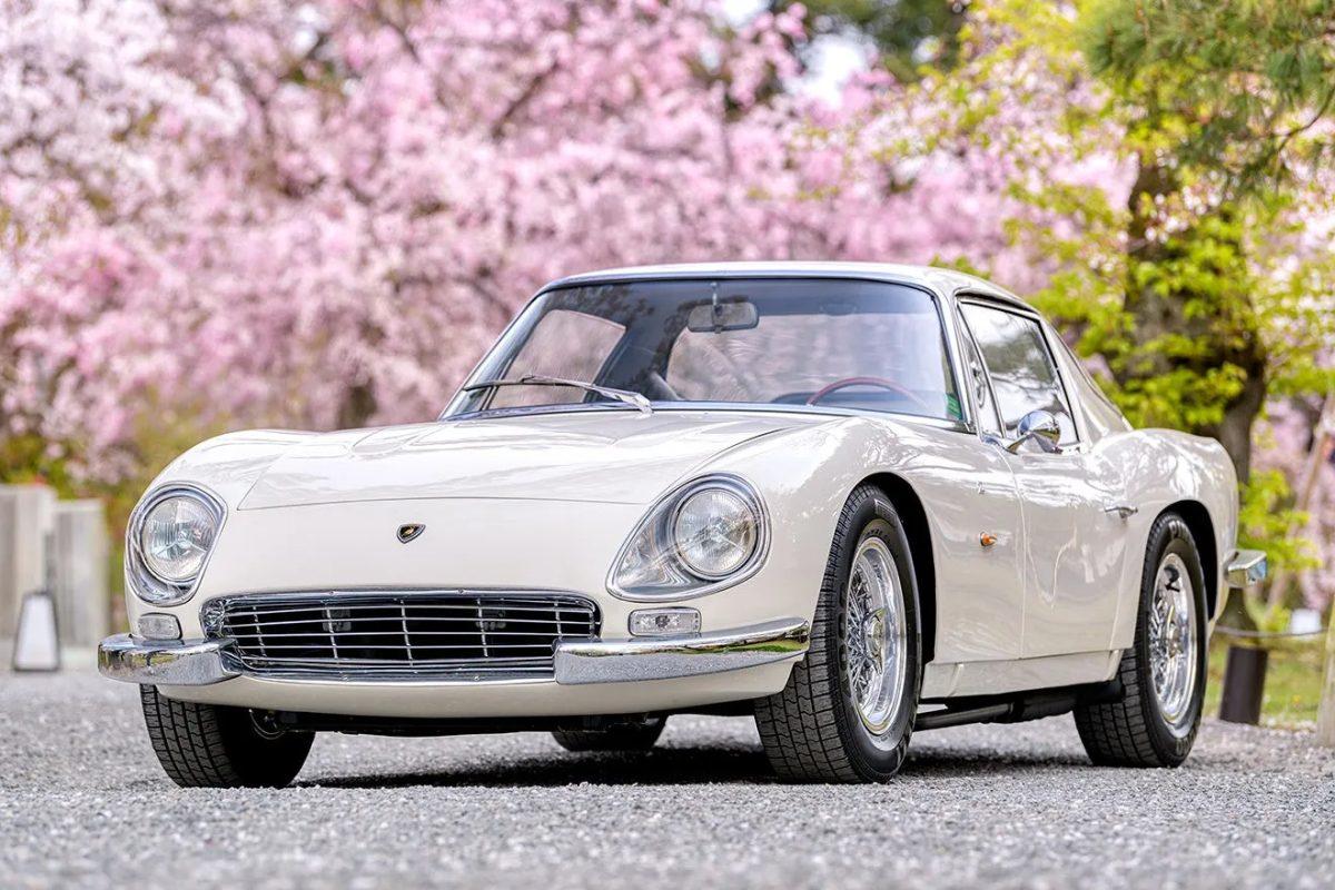 白いランボルギーニの車が、桜の木の下に駐車している写真です