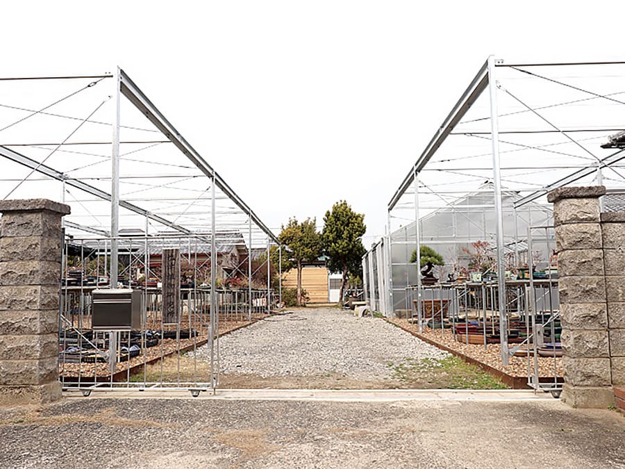 塩津植物研究所