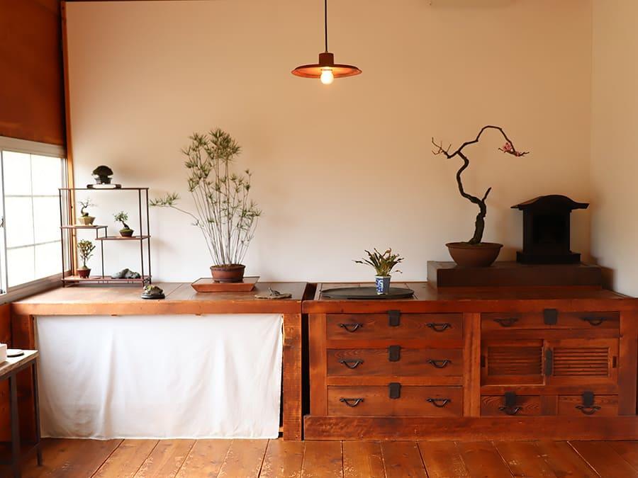 塩津植物研究所