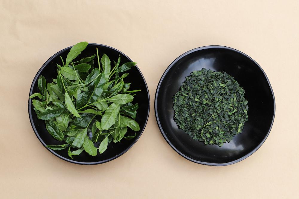 生葉（左）と碾茶
