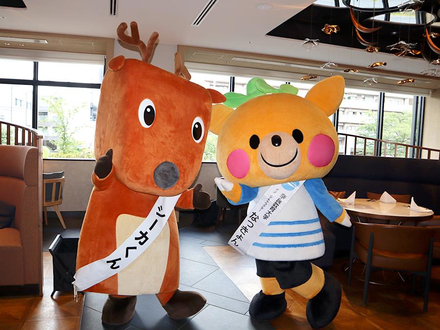 シーカくんとなっきょん
