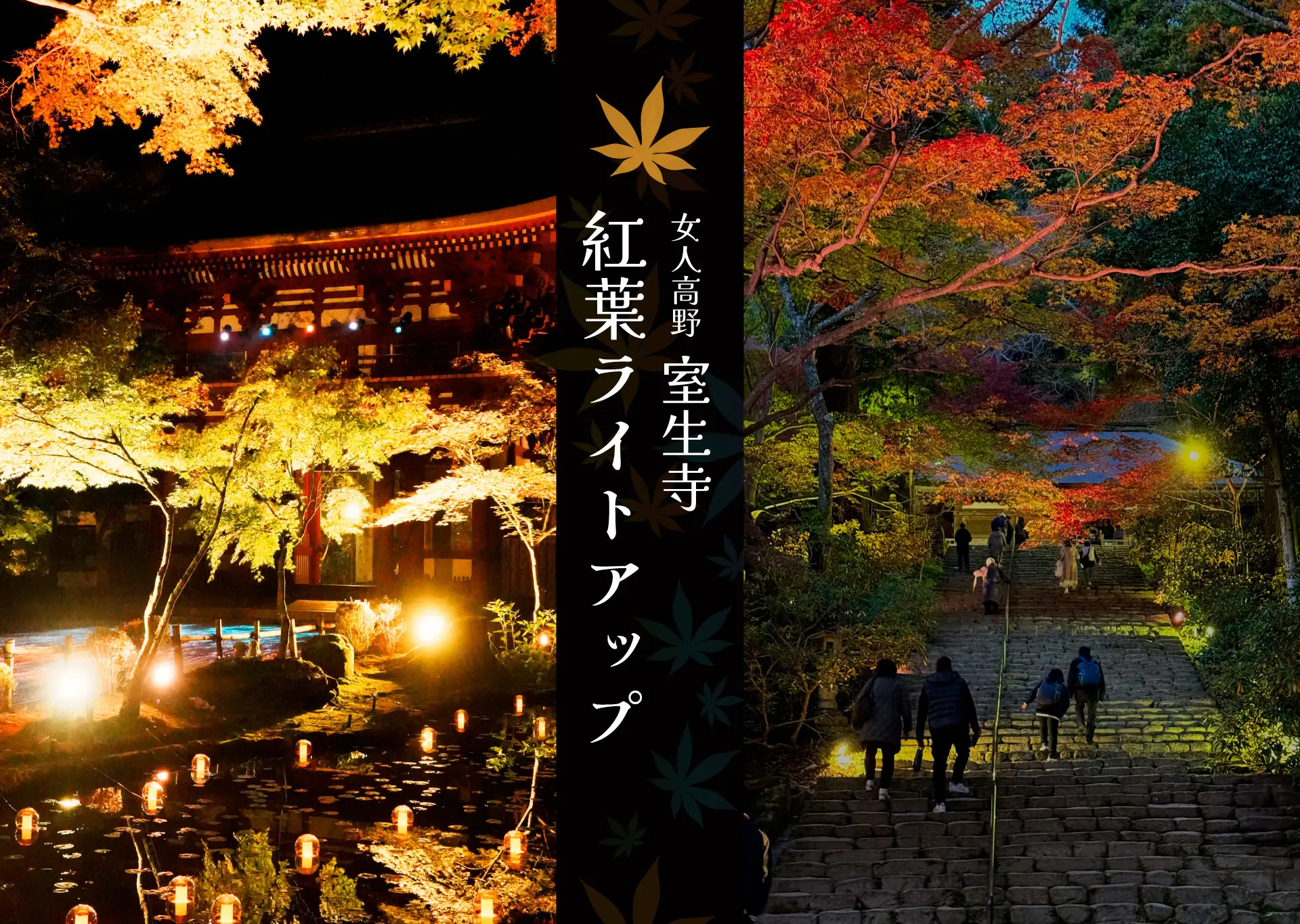 女人高野 室生寺 紅葉ライトアップ