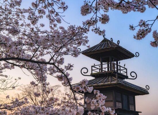 撮影：@norishika135さん