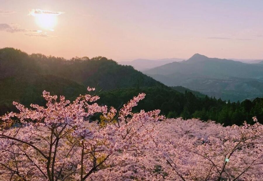 撮影：@utagarasu_66さん