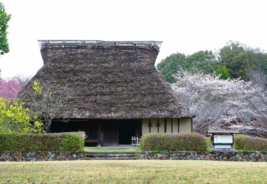 撮影：@takuya_kiriyyaama さん